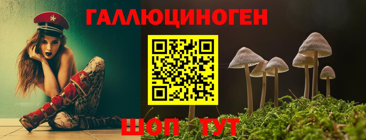 Псилоцибиновые грибы Psilocybine cubensis  Вход с VPN  Протвино 
