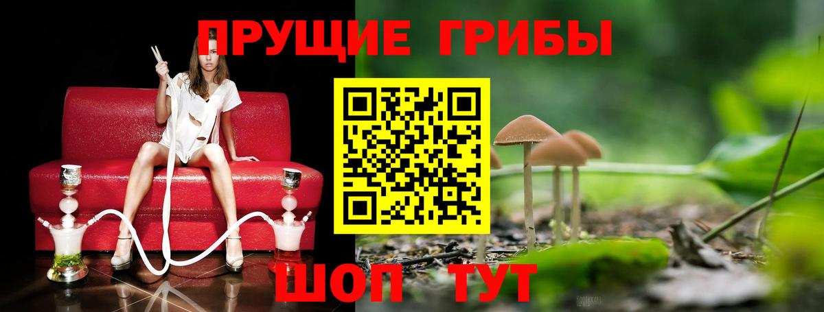 Галлюциногенные грибы MAGIC MUSHROOMS Протвино